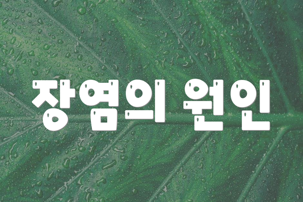 장염의 원인