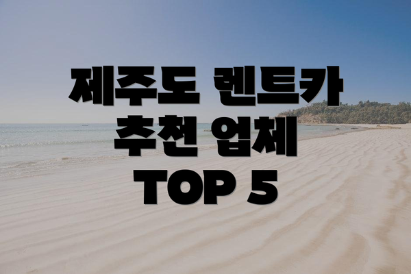 제주도 렌트카 추천 업체 TOP 5
