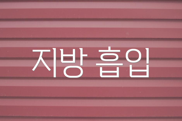 지방 흡입