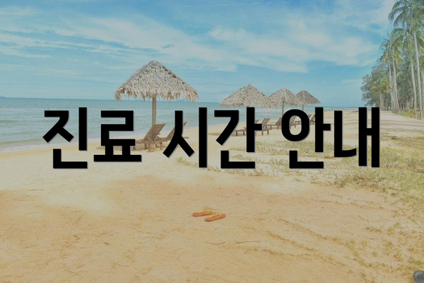 진료 시간 안내