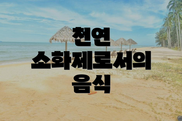 천연 소화제로서의 음식