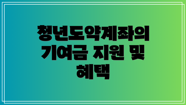 청년도약계좌의 기여금 지원 및 혜택