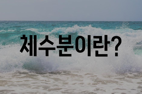 체수분이란?