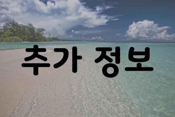추가 정보