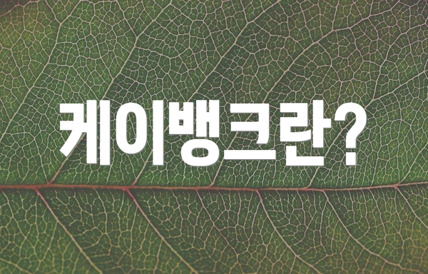케이뱅크란?