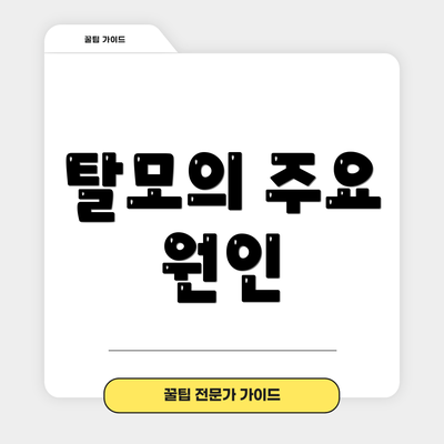 탈모의 주요 원인