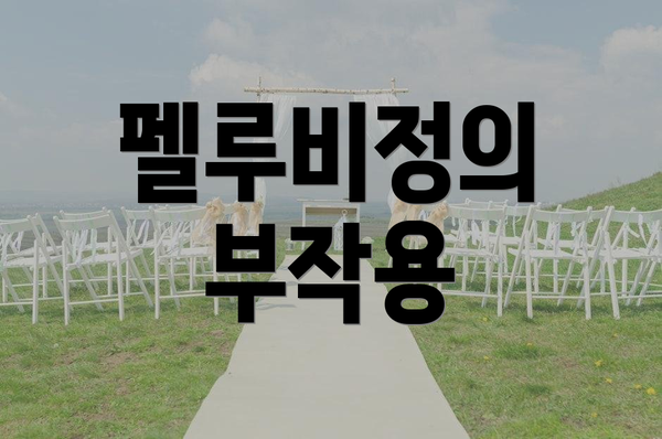 펠루비정의 부작용