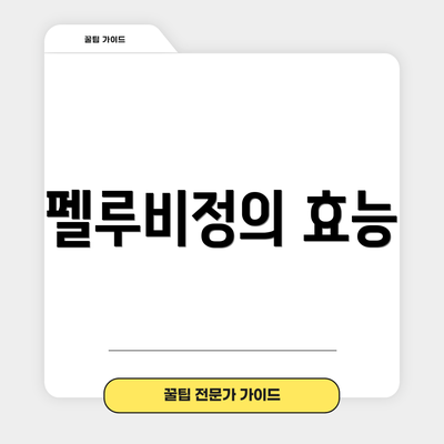 펠루비정의 효능