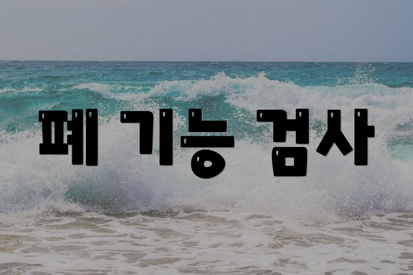 폐 기능 검사