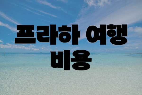 프라하 여행 비용