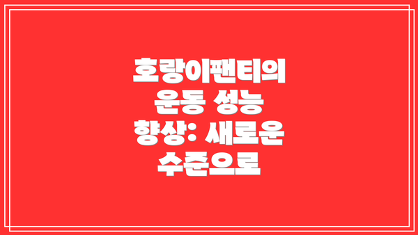 호랑이팬티의 운동 성능 향상: 새로운 수준으로