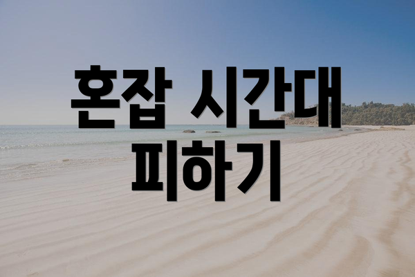 혼잡 시간대 피하기