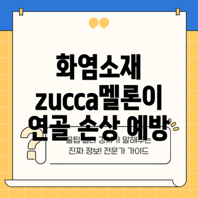 화염소재 zucca멜론이 연골 손상 예방