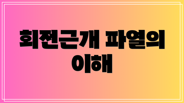 회전근개 파열의 이해