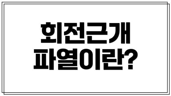회전근개 파열이란?