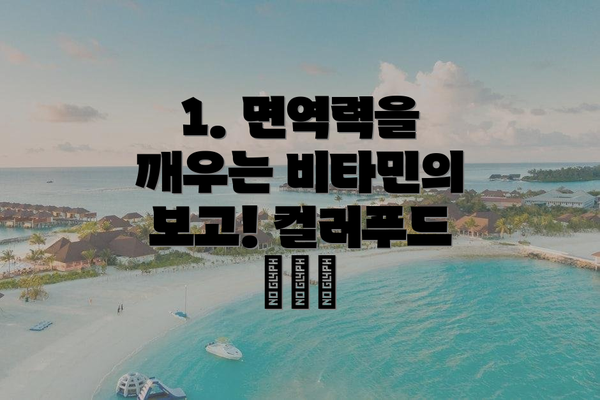 1. 면역력을 깨우는 비타민의 보고! 컬러푸드 🍎🍊🥦