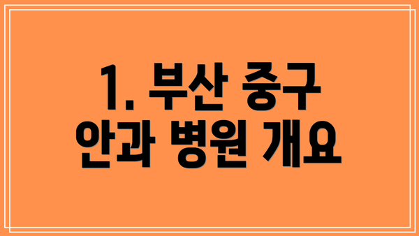 1. 부산 중구 안과 병원 개요