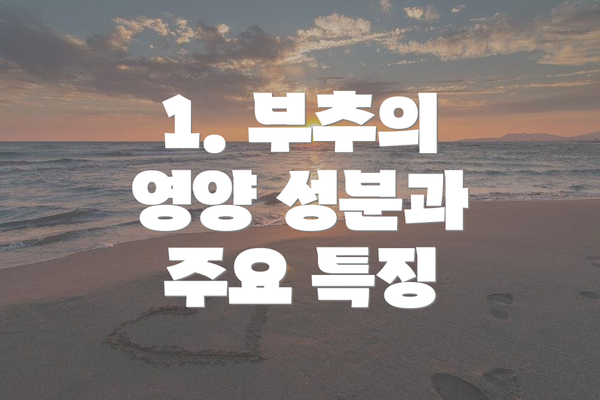 1. 부추의 영양 성분과 주요 특징