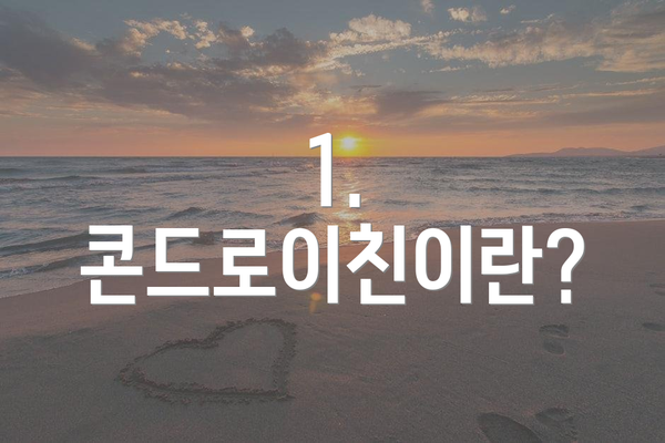 1. 콘드로이친이란?