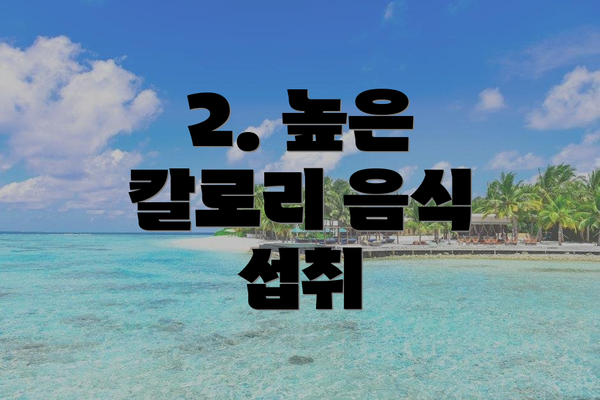 2. 높은 칼로리 음식 섭취