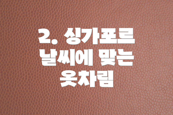 2. 싱가포르 날씨에 맞는 옷차림