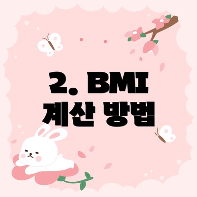 2. BMI 계산 방법