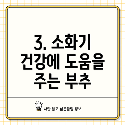 3. 소화기 건강에 도움을 주는 부추