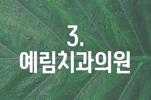3. 예림치과의원