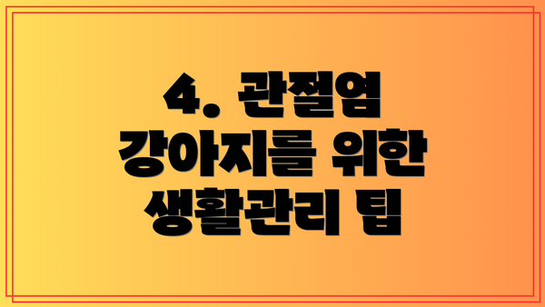 4. 관절염 강아지를 위한 생활관리 팁