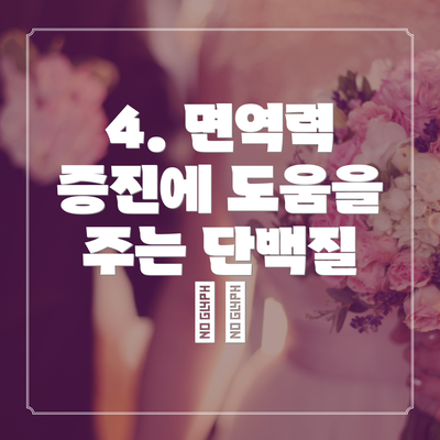 4. 면역력 증진에 도움을 주는 단백질 🍗🥚