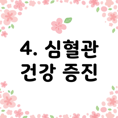 4. 심혈관 건강 증진