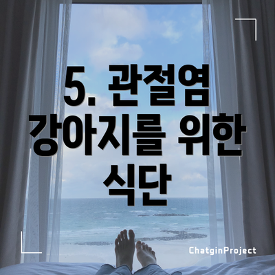 5. 관절염 강아지를 위한 식단
