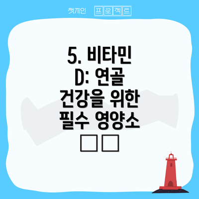 5. 비타민 D: 연골 건강을 위한 필수 영양소 ☀️