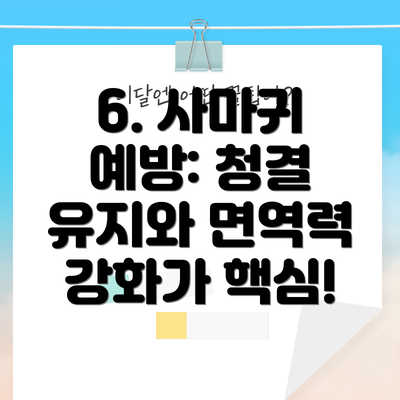 6. 사마귀 예방: 청결 유지와 면역력 강화가 핵심!