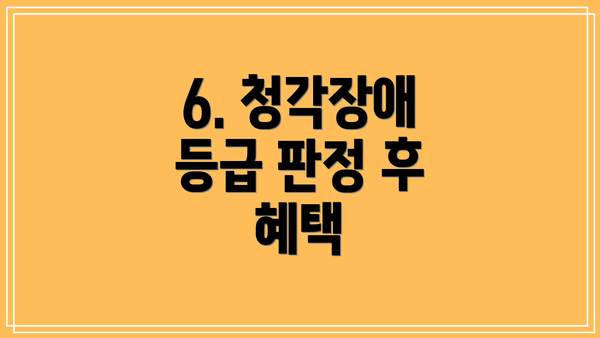 6. 청각장애 등급 판정 후 혜택