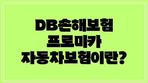 DB손해보험 프로미카 자동차보험이란?