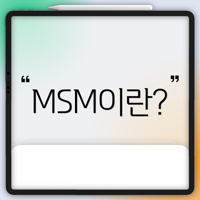 MSM이란?