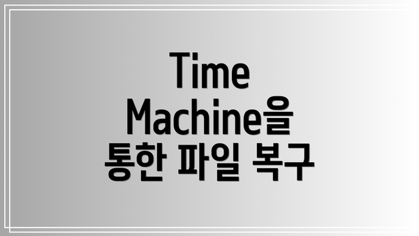 Time Machine을 통한 파일 복구