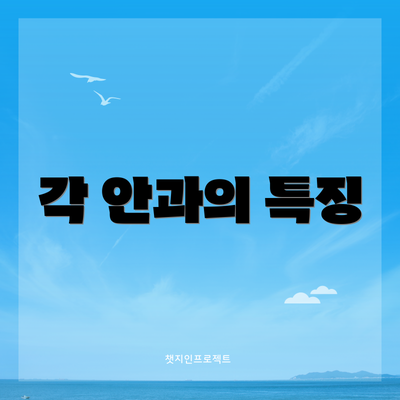 각 안과의 특징
