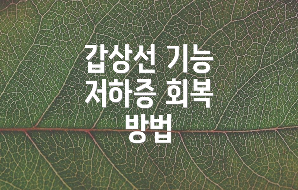 갑상선 기능 저하증 회복 방법