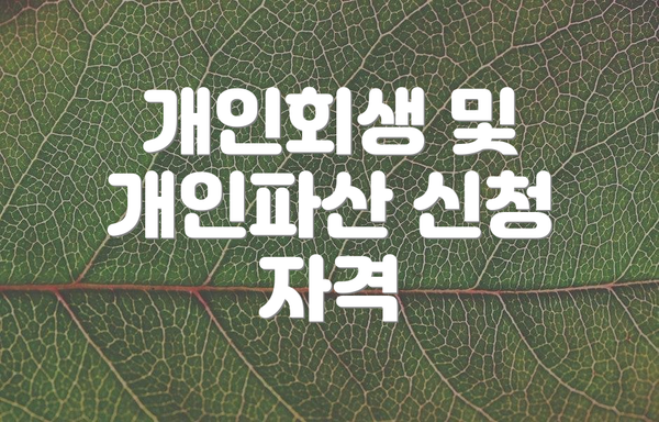 개인회생 및 개인파산 신청 자격