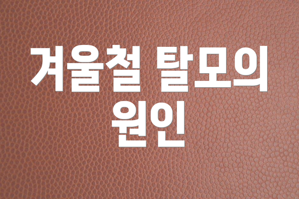 겨울철 탈모의 원인