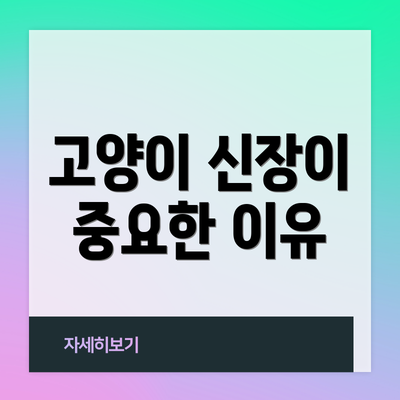 고양이 신장이 중요한 이유