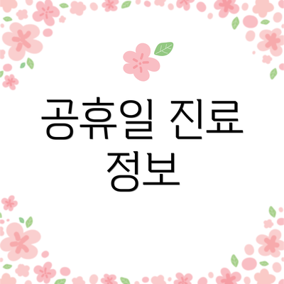 공휴일 진료 정보