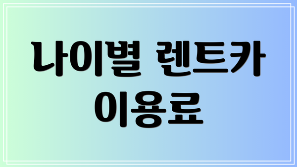 나이별 렌트카 이용료