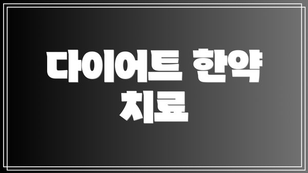 다이어트 한약 치료
