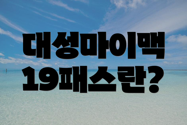 대성마이맥 19패스란?