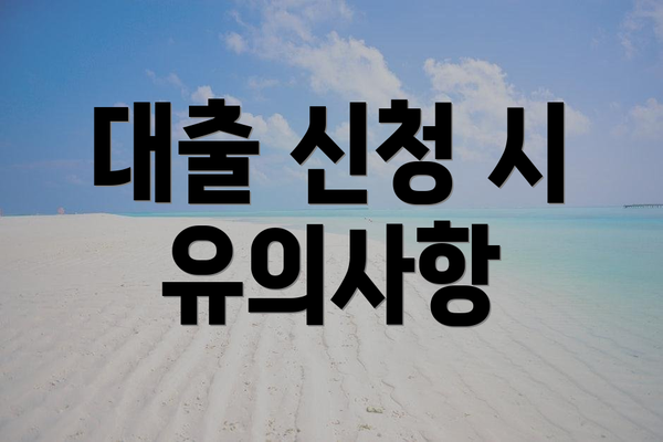 대출 신청 시 유의사항