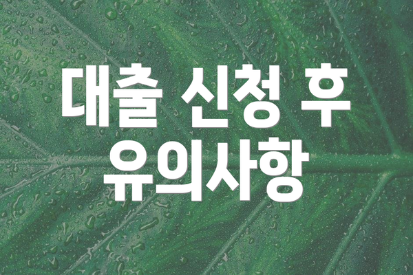 대출 신청 후 유의사항