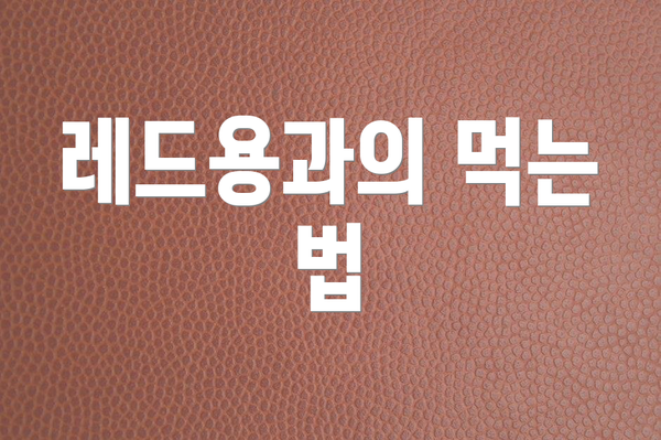 레드용과의 먹는 법